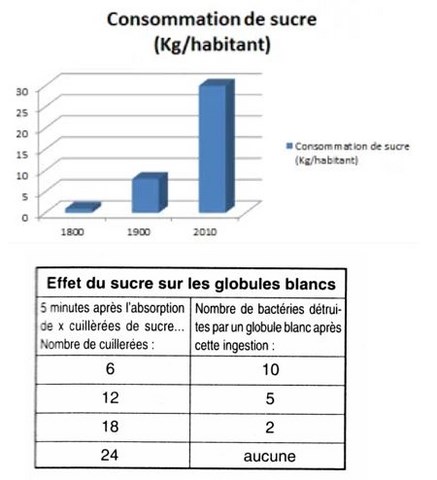 sucre et immunité