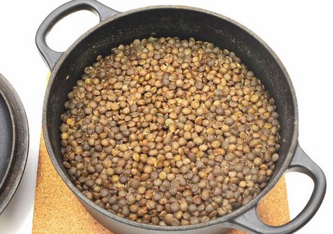 recette lentilles vertes