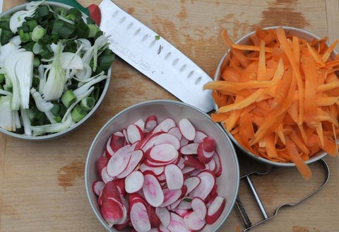 recette choux de Bruxelles carottes