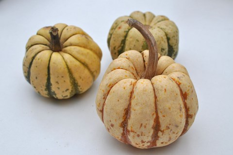 recette patidou vapeur