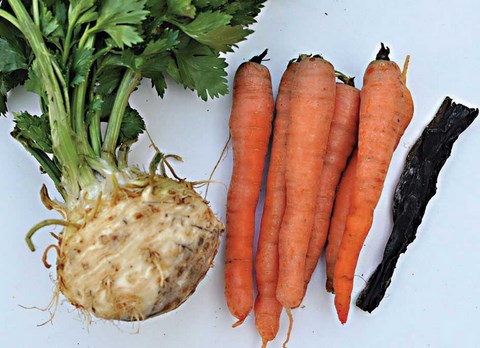 recette soupe carottes céleri